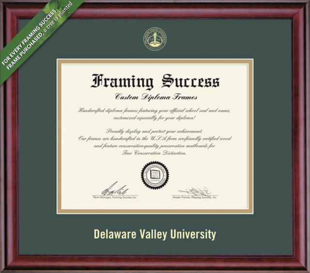 Delaware Valley University 8.5'' x 11'' Classic Diploma Frame