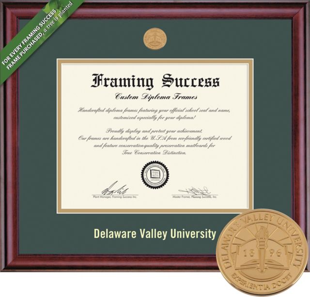 Delaware Valley University 8.5'' x 11'' Classic Diploma Frame