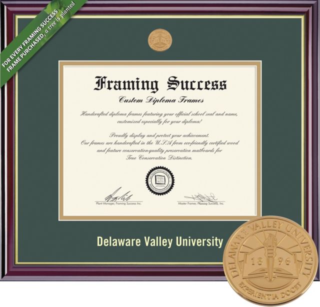 Delaware Valley University 8.5'' x 11'' Windsor Diploma Frame