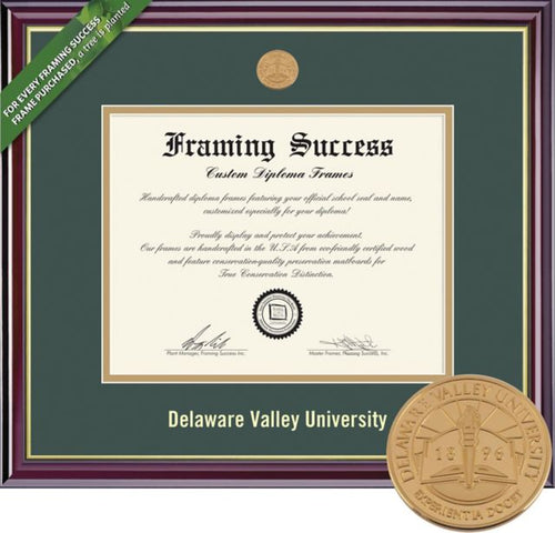 Delaware Valley University 8.5'' x 11'' Windsor Diploma Frame