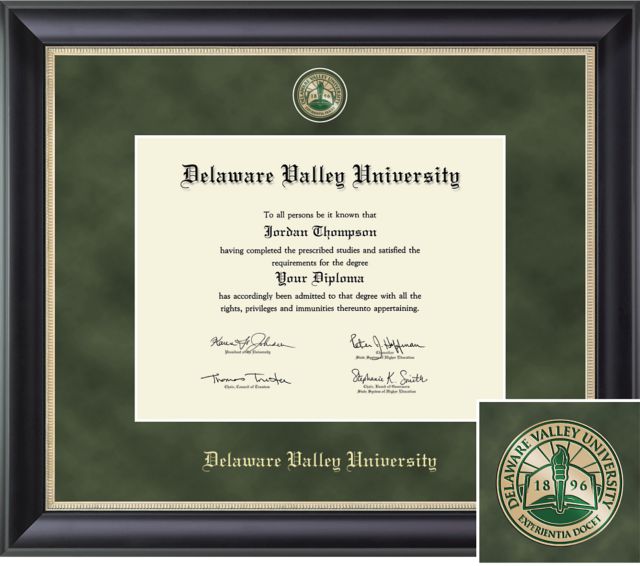 Church Hill Classics Regal, 8.5x11, Associates, Bachelors, Masters Diploma Frame - ONLINE ONLY
