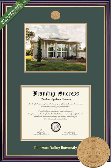 Delaware Valley University 8.5'' x 11'' Windsor Diploma Frame