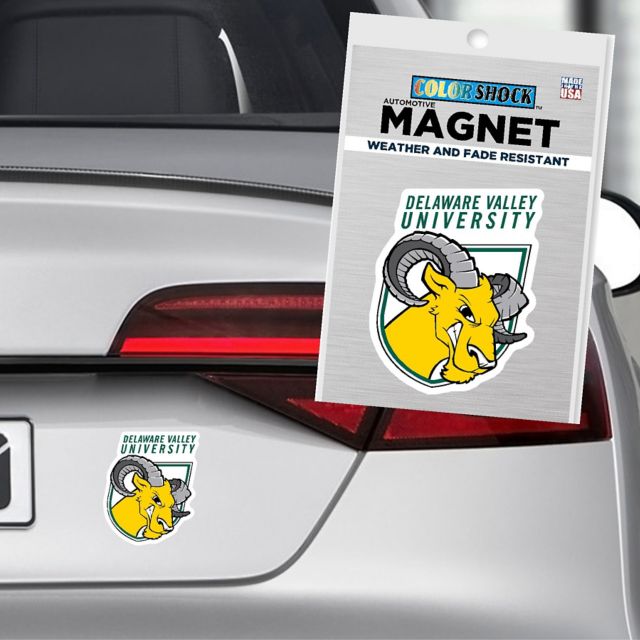 MAGNET 4x4 SML MSC/SCSPC/    .