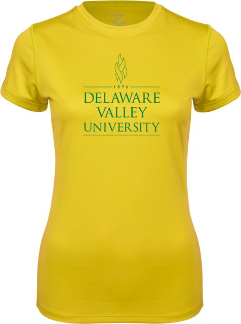 Delaware Valley Ladies Syntrel Performance Tee Inst. Wordmark - ONLINE ONLY