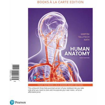 Human Anatomy (Loose Pgs)