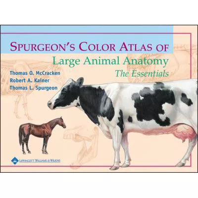 Spurgeon's Color Atlas of Large Animal Anatomy